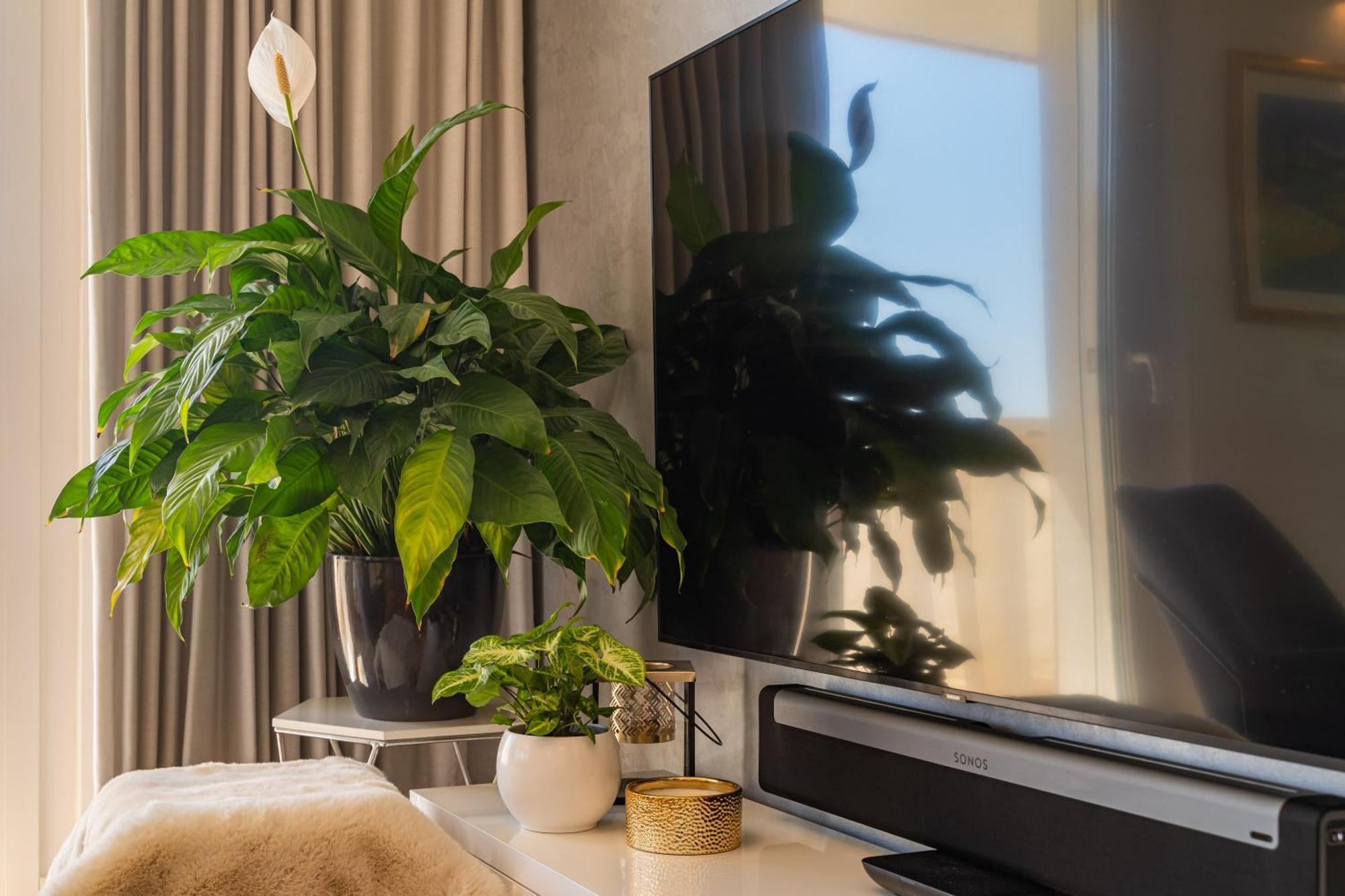 Apollo In With Sea View Appartement *